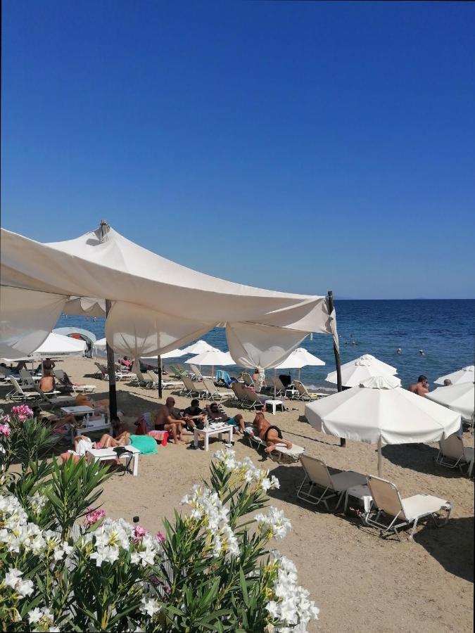 Greca Mare-Traditional Greek Boutique Apt. Psakoudia Zewnętrze zdjęcie