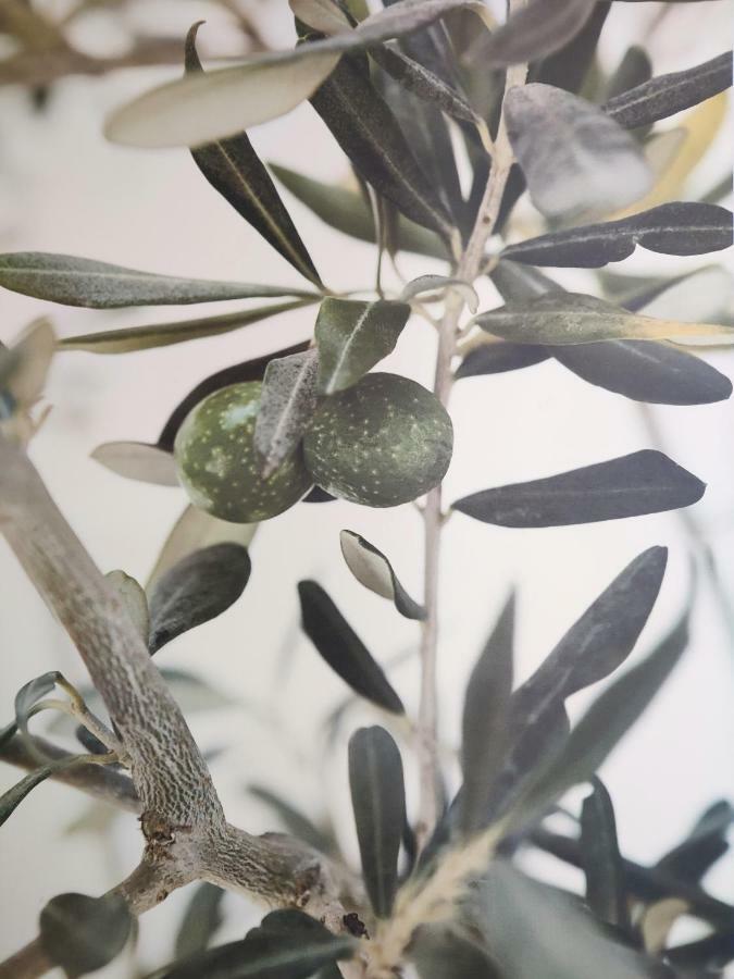 Greca Mare-Traditional Greek Boutique Apt. Psakoudia Zewnętrze zdjęcie