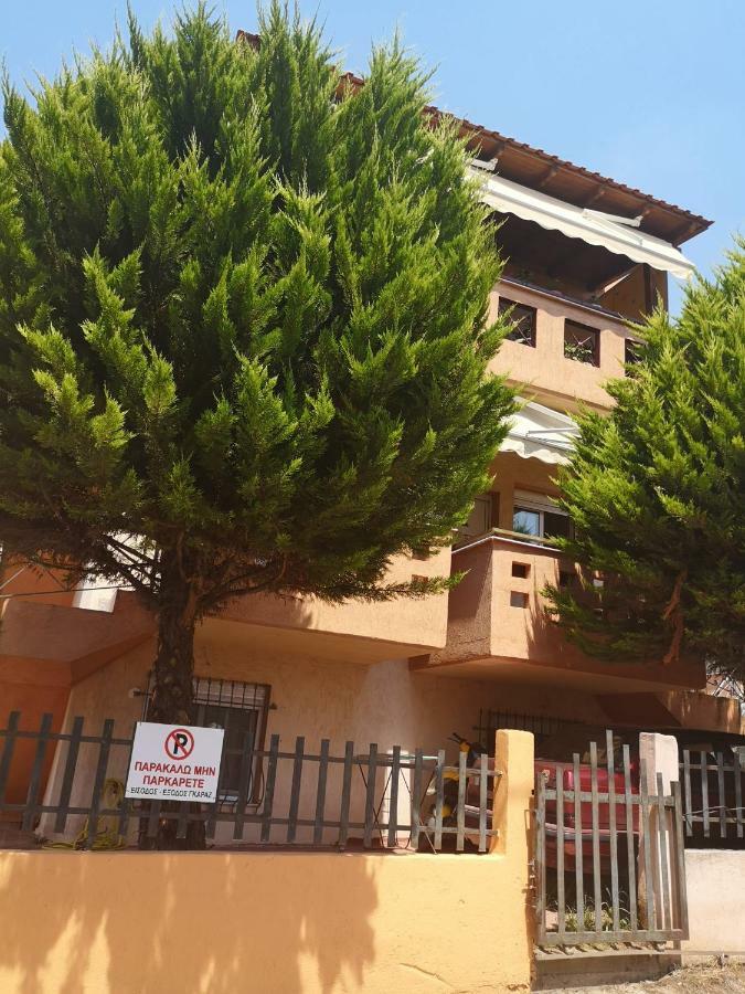 Greca Mare-Traditional Greek Boutique Apt. Psakoudia Zewnętrze zdjęcie